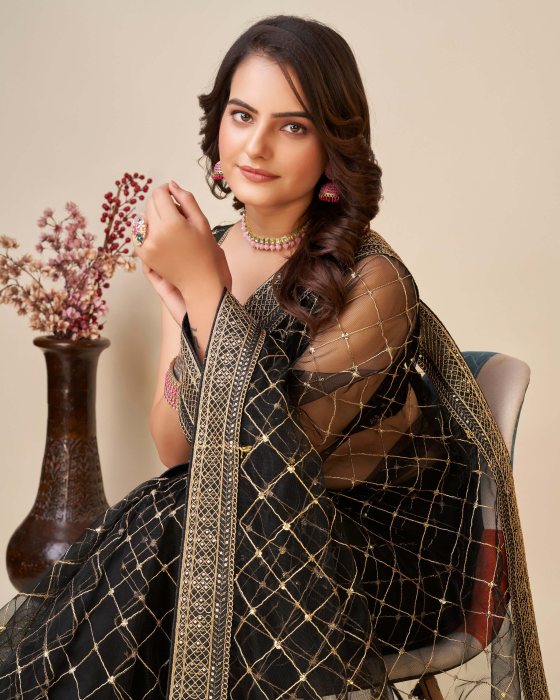 Black Net fabric Embroidery work Sarees Net Sarees