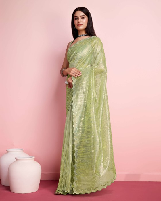Green Silver Twill  Net fabric with Sequins work Saree Net Sarees